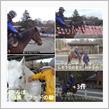 富士山麓鳴沢村で乗馬体験 西湖いやしの里 根場の蕎麦 ホーストレッキング 　🐎