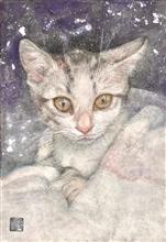 「愛猫」