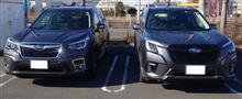 2022年もよろしくお願い致します。（C型D型比較） 
