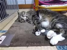 寒いけど、交換。