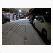 雪積もりましたね⛄