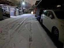 雪積もりましたね⛄