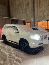 千葉で雪降ると！