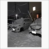 家についたら・・・