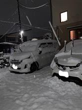 家についたら・・・