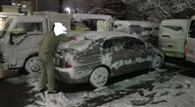 雪の被害・・・・・ 雪の被害・・・・・