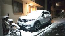 関東でも久しぶりの雪