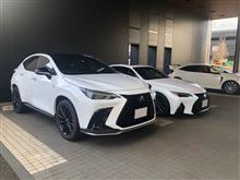 NEW NX350h Fスポ試乗