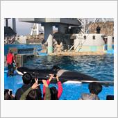 名古屋港水族館見てきました