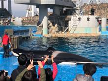 名古屋港水族館見てきました
