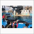 名古屋港水族館見てきました