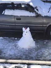 雪が降った日の我が家の駐車場では・・・・