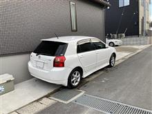ルーフが黄ばんでいたので・・・・