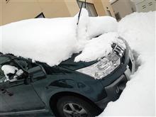 とんでもない雪が・・・！