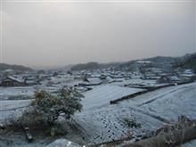 今日が今期一番の寒さかも・・・？？