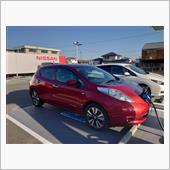 赤リーフ30㎏買い物車