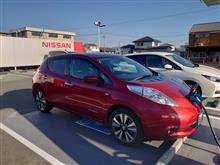 赤リーフ30㎏買い物車