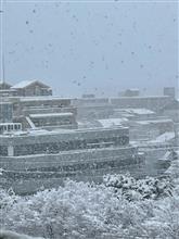 雪