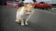 鈴鹿ツイン フルコース 2022.1/28 鈴鹿ツイン フルコース 2022.1/28