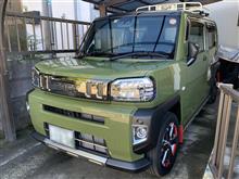 ホント、最近よく見かけます。