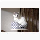 来たぁ～～♪!(^^)!