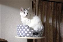 来たぁ～～♪!(^^)!