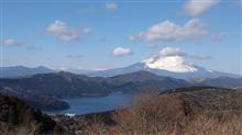 ご近所ドライブ🚗　富士山＆桜ツー