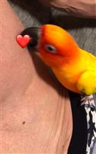 こ、コイツ〜💕