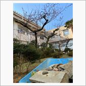 2月を感じながら