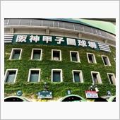 いったい高校野球って何なんだ ...