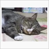 予約始まってたよ、、、（＾＾）