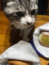 節分にマリトッツオなど