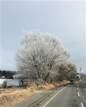 軽井沢町氷点下5℃‼️