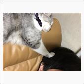 祝・みんカラ歴16年！
