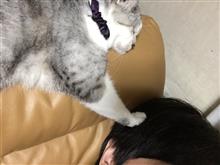 祝・みんカラ歴16年！