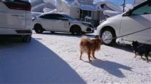 雪の奴隷