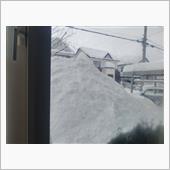 未だかってない⛄大雪にヘトヘ ...
