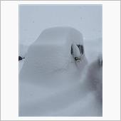 雪はぁ～ふるう～　あたなは来 ...