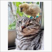 Pちゃんがッ！😆