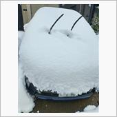 富山は、雪です。