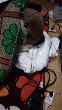 何故かまた具合が悪いの(T(エ)T) ウウウ  
