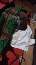 おや？まだ具合が悪いの？(￣(エ)￣；) 