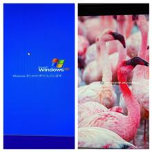 Windows XP→Windows10。