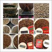 自家焙煎第二百二十七～二百三 ...
