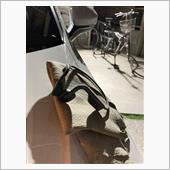 洗車変態にこそ骨伝導イヤホン ...