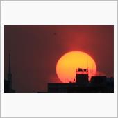 太陽にほえろ！