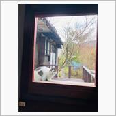 コロナワクチン3回目の話🥲 ...
