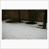 雪の日　オトシンネグロ逝く