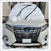 雪やコンコン😆