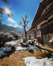 とうとう雪が降ってしまった🥶💦